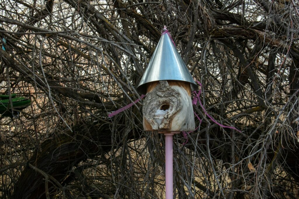 A princess bird house stands next to the entrance to the path of the Ogden Nature Center.  Every year the nature center shows birdhouses from their annual competition.  (Sarah Earnshaw / The Guide)